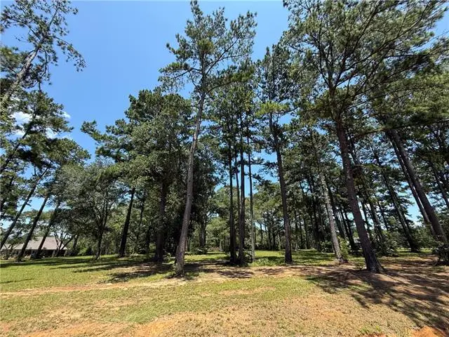 7238 The Woods Avenue, Abita Springs, LA 70420 - #1