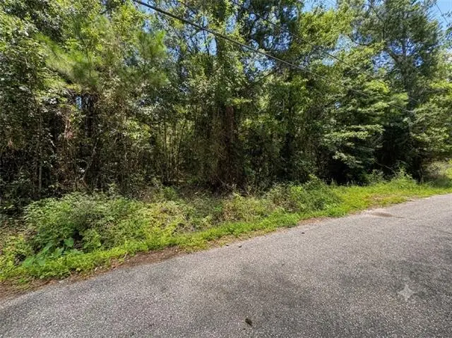 Dumas Road, Slidell, LA 70460 - #2