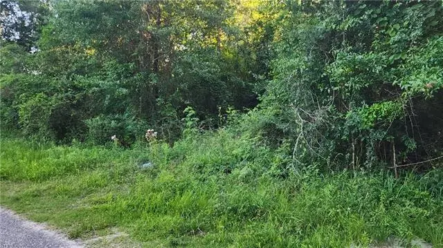 N Audubon Street, Slidell, LA 70460 - #3