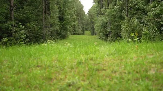 Lowencamp Lane, Hazlehurst, MS 39083 - #2
