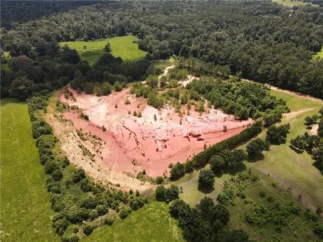 Virgil White 20acre Lane, Loranger, LA 70446 - #3