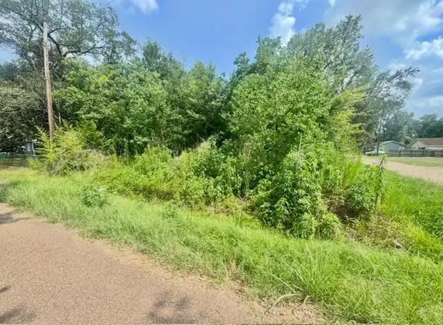800 E Iowa Street, Hammond, LA 70401 - #2