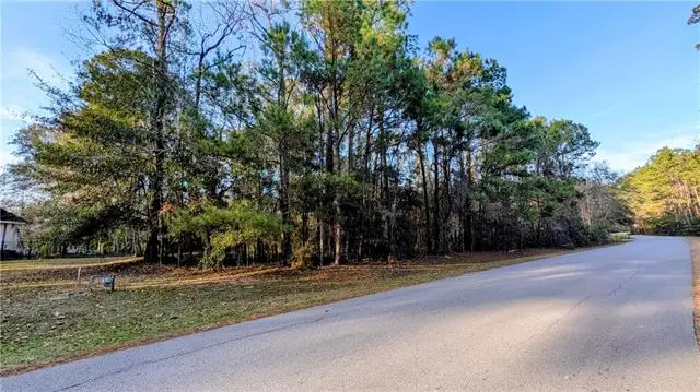 307 Black River Drive, Madisonville, LA 70447 - #3