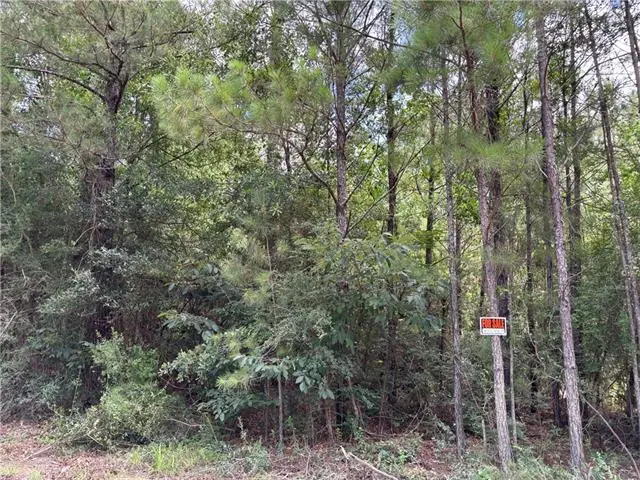 1.529 AC Trappers Run, Albany, LA 70711 - #1