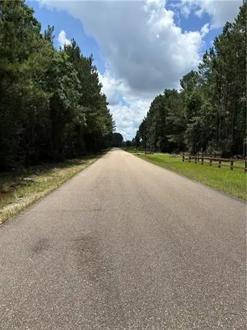1.529 AC Trappers Run, Albany, LA 70711 - #3