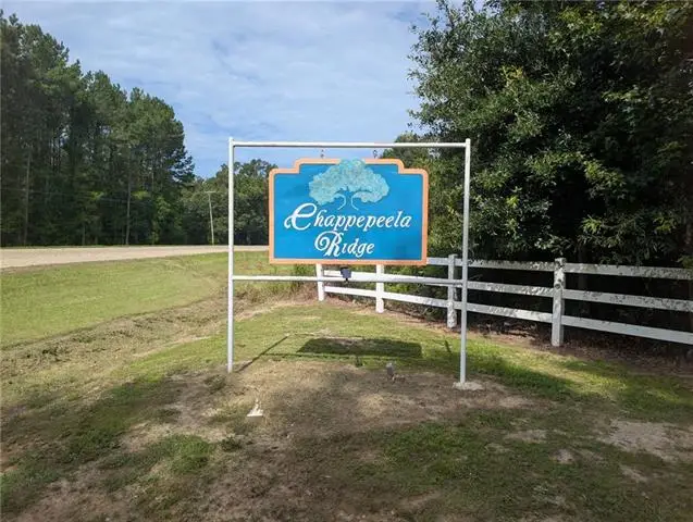 Providence Estates Road, Amite, LA 70422 - #1