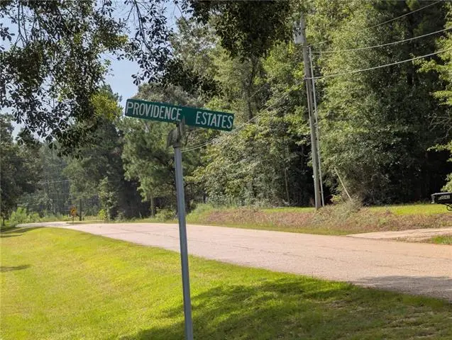 Providence Estates Road, Amite, LA 70422 - #2