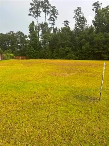 19517 Par Lane, Hammond, LA 70401 - #3