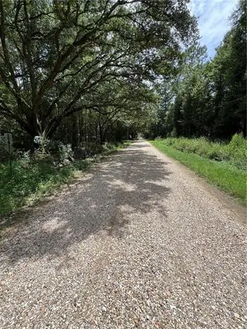 00000 Eagle Street, Abita Springs, LA 70420 - #3