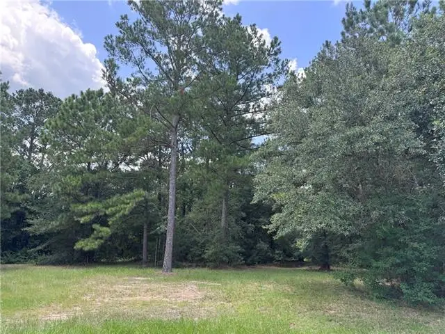 Lot 13 Windermere Oaks West, Madisonville, LA 70447 - #1