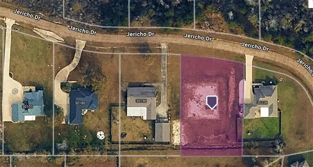 30210 Jericho Drive, Albany, LA 70711 - #2