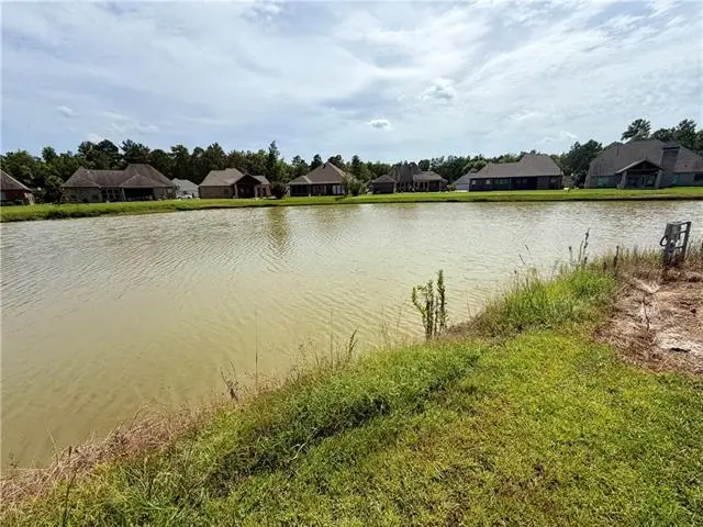 Lake Bienville Court, Ponchatoula, LA 70454 - #2