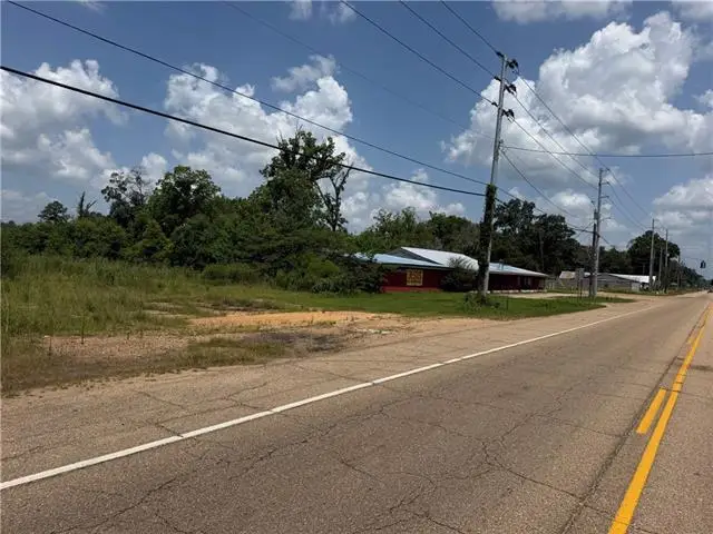 E Hwy 51 Highway, Tangipahoa, LA 70465 - #2