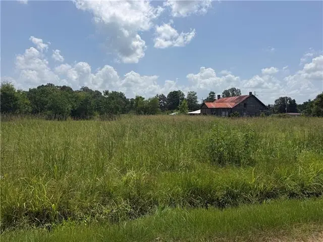 E Hwy 51 Highway, Tangipahoa, LA 70465 - #3