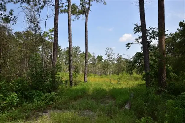 37323 Howard O'berry Road, Pearl River, LA 70452