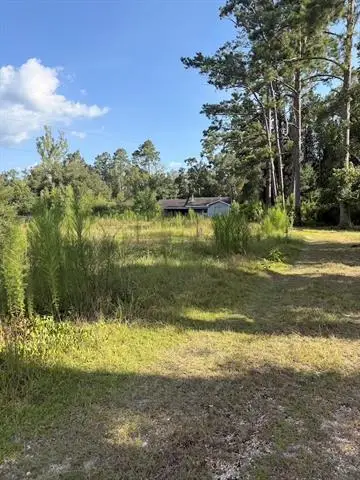 27186 La-42 Hwy Highway, Springfield, LA 70462 - #2