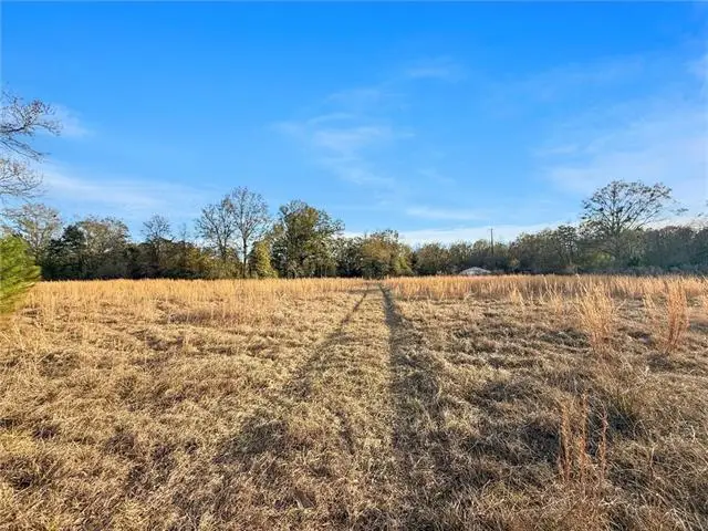 17142 Parker Lane, Hammond, LA 70403 - #3