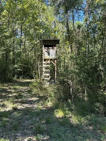 Port Hudson-pride Rd Road, Zachary, LA 70791 - #2