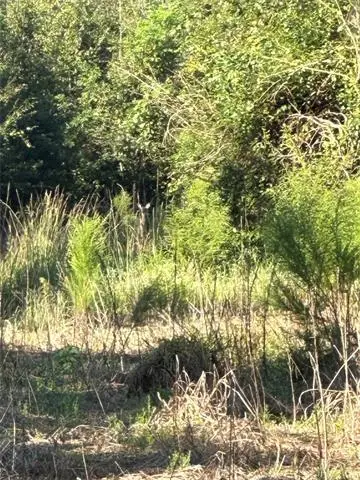 Port Hudson-pride Rd Road, Zachary, LA 70791 - #3