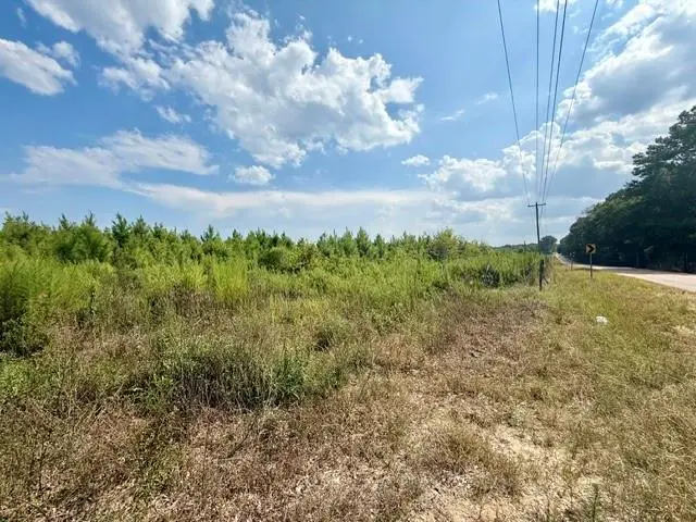 TBD Highway 430 Highway, Franklinton, LA 70438 - #2