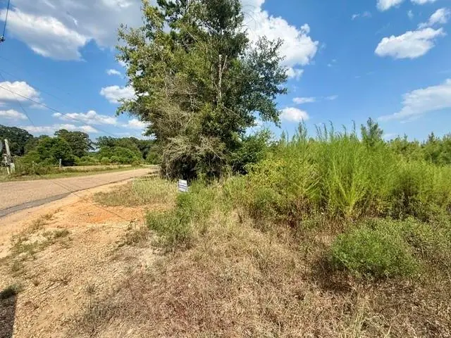 TBD Highway 430 Highway, Franklinton, LA 70438 - #3