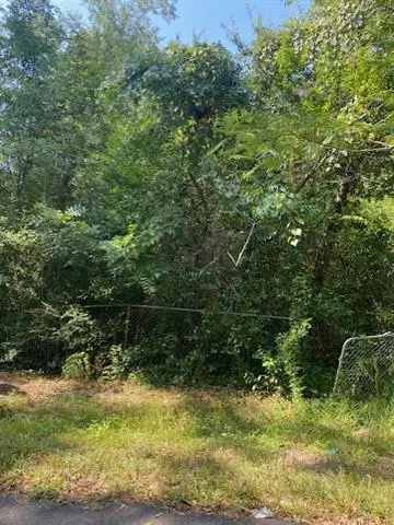 Ave C Aka Rev. Leo P Edgerson Drive, Mandeville, LA 70448 - #2