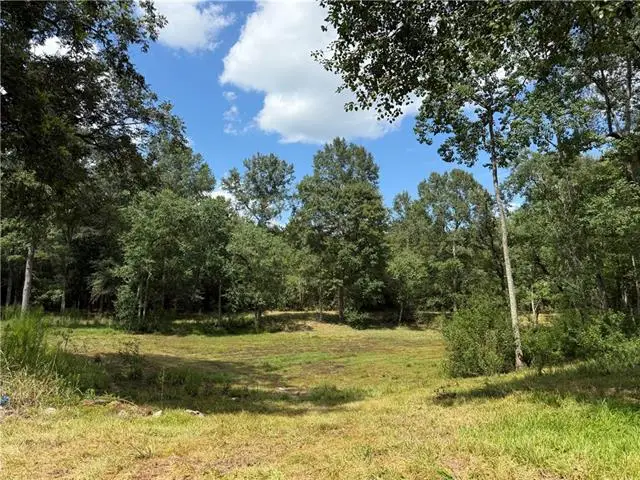 12271 1048 Highway, Roseland, LA 70456 - #2