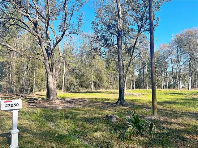 47250 Monticello Drive, Hammond, LA 70403 - #1