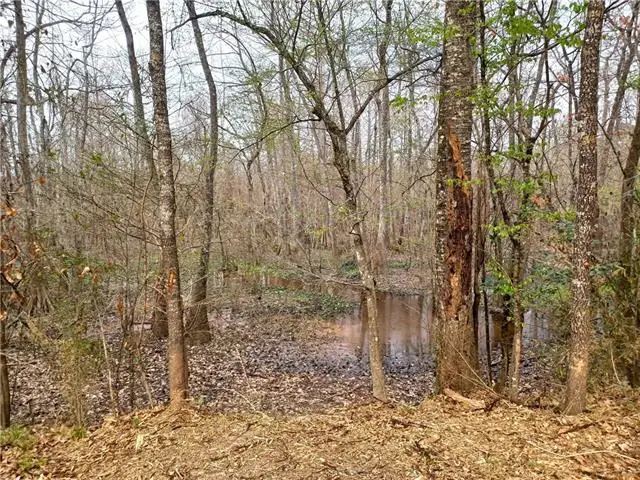 14071 Cypress Crest Lane, Ponchatoula, LA 70454 - #3