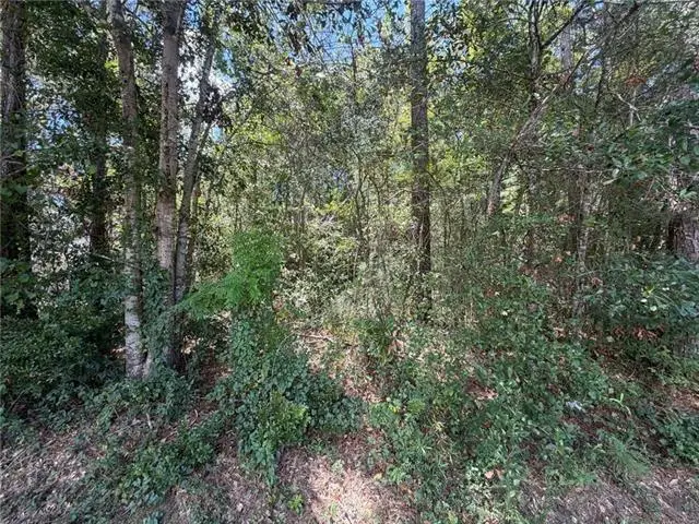 0 Lydia Street, Lacombe, LA 70445 - #3