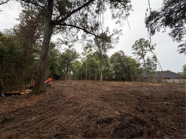 1310 S Range Road, Hammond, LA 70403 - #3