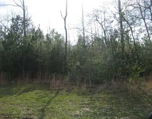 Strader Road, Ponchatoula, LA 70454