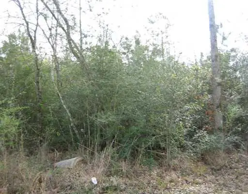 Strader Road, Ponchatoula, LA 70454 - #2