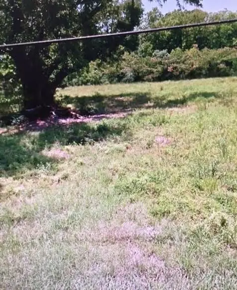 157 Hwy 51, Independence, LA 70443 - #2