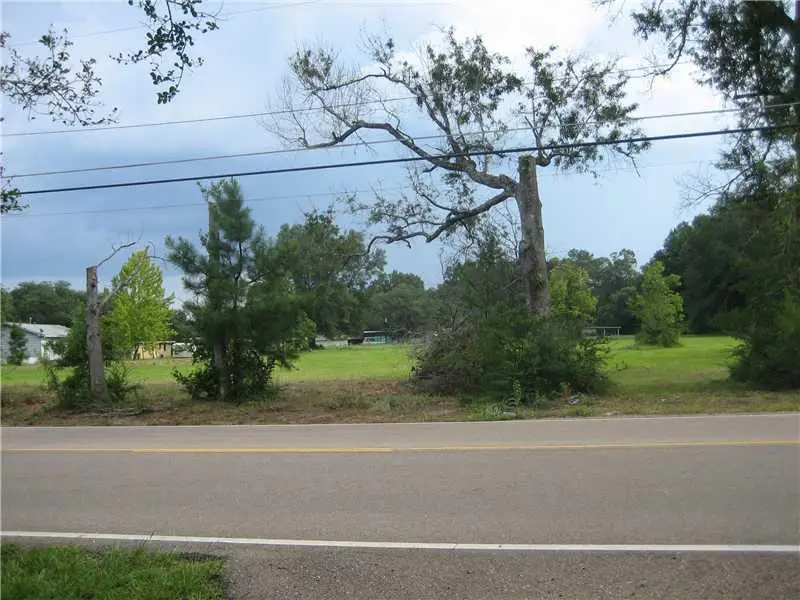 Hwy 442 Highway, Tickfaw, LA 70466 - #3
