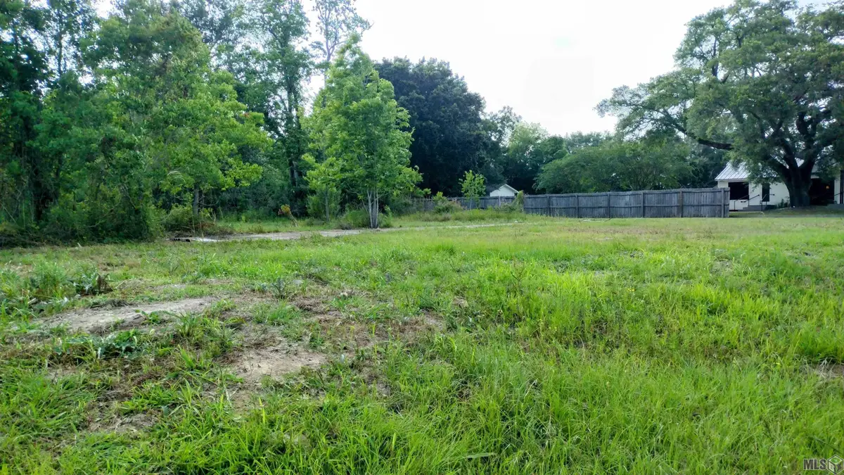 19919 Old Scenic Hwy, Zachary, LA 70791 - #1