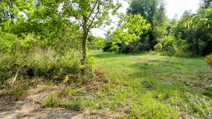19919 Old Scenic Hwy, Zachary, LA 70791 - #2