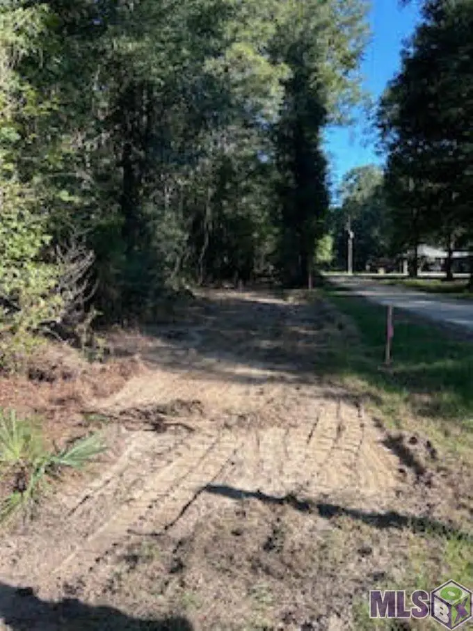 J L Fairchild Rd, Greenwell Springs, LA 70739 - #2