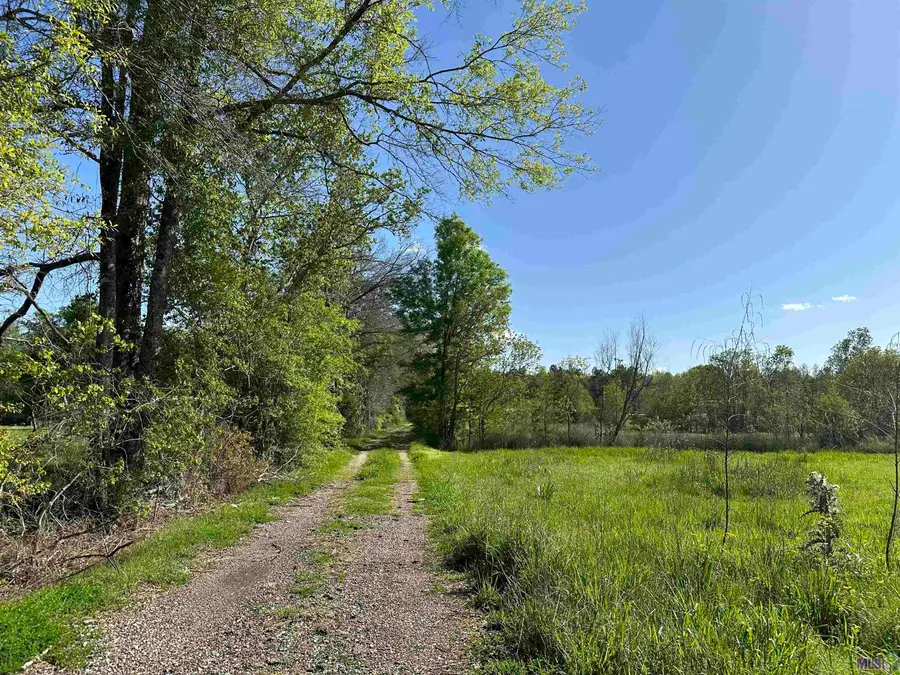 38975 Leggett Rd, Walker, LA 70785 - #3