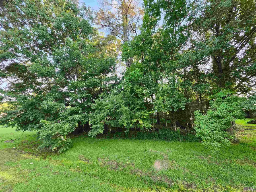 5718 Landmor Dr, Greenwell Springs, LA 70739 - #2