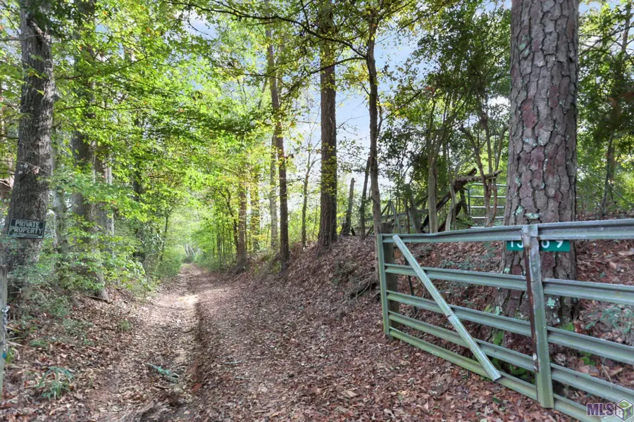 13289 Weaver Rd, Saint Francisville, LA 70775 - #2