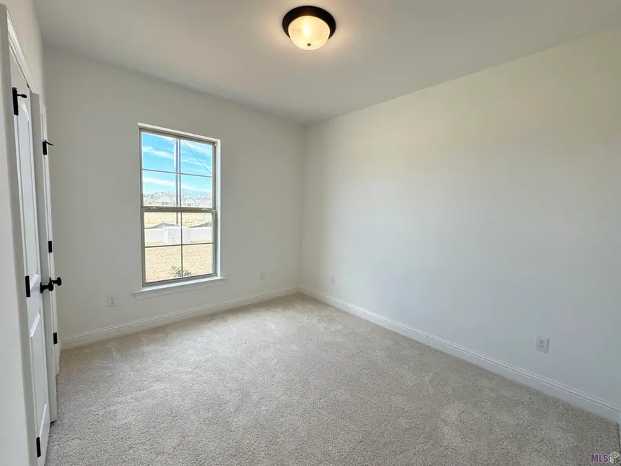 23218 Waterbuck Lake Ct, Denham Springs, LA 70726 - #2