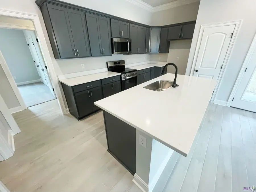 25699 Tarver Dr, Denham Springs, LA 70726 - #3