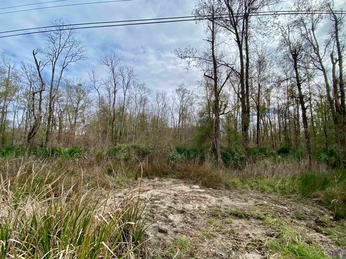 10 Acres La Hwy 22, Maurepas, LA 70449 - #1