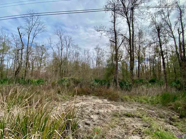 10 Acres La Hwy 22, Maurepas, LA 70449