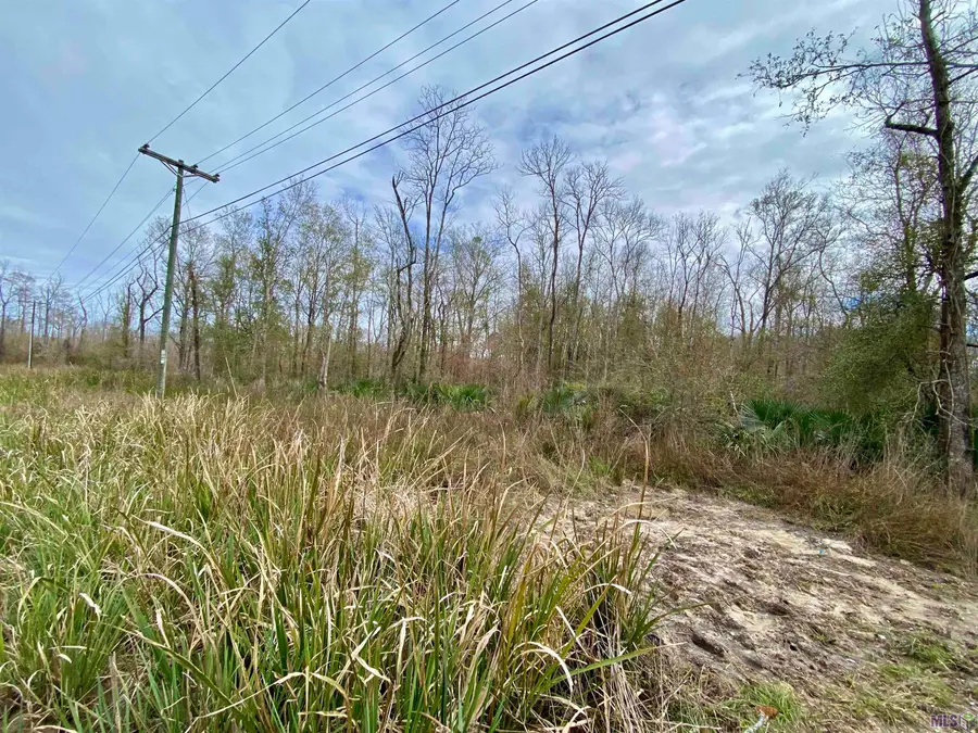 10 Acres La Hwy 22, Maurepas, LA 70449 - #3