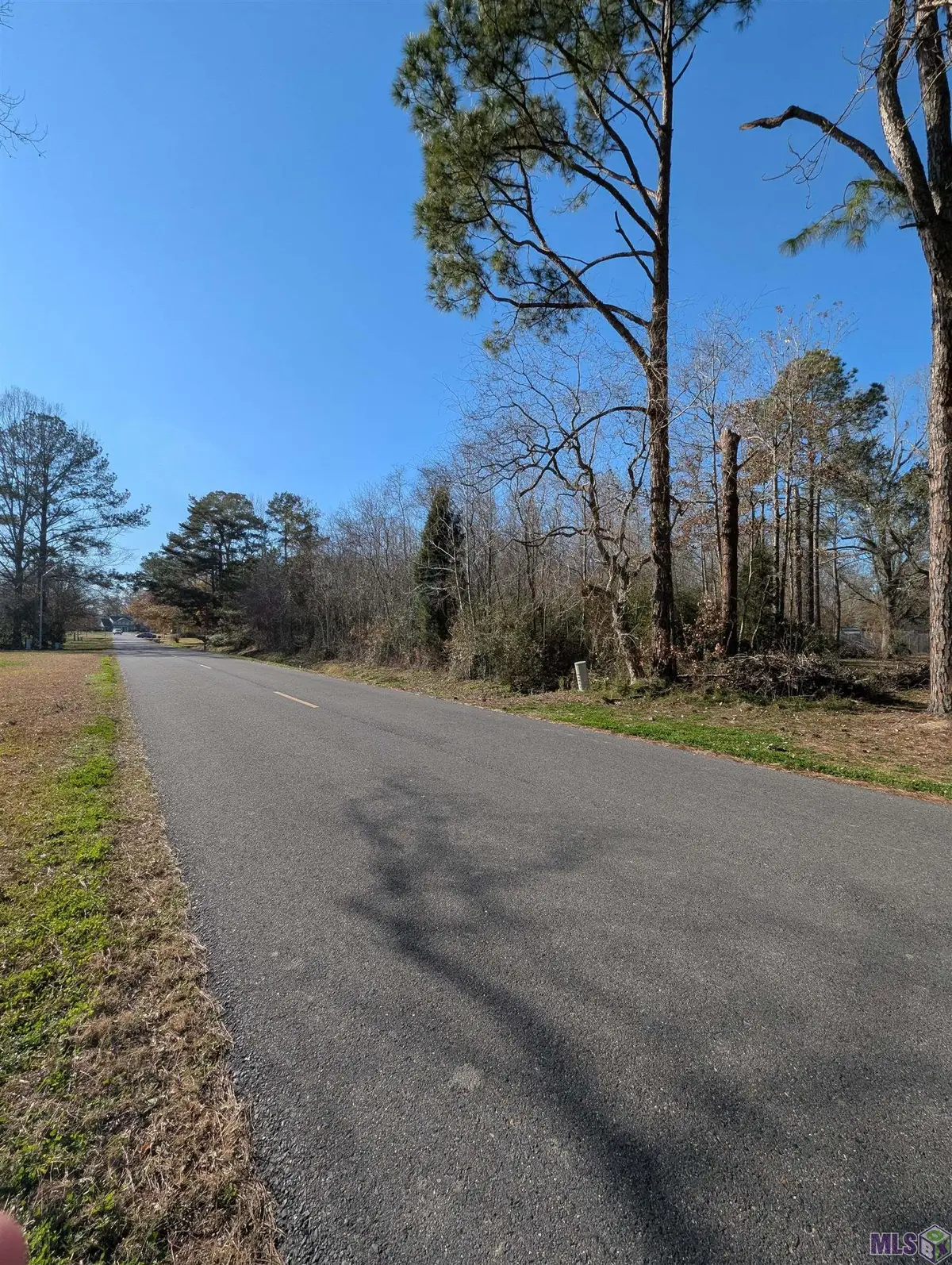 TBD David Dr, Prairieville, LA 70769 - #1