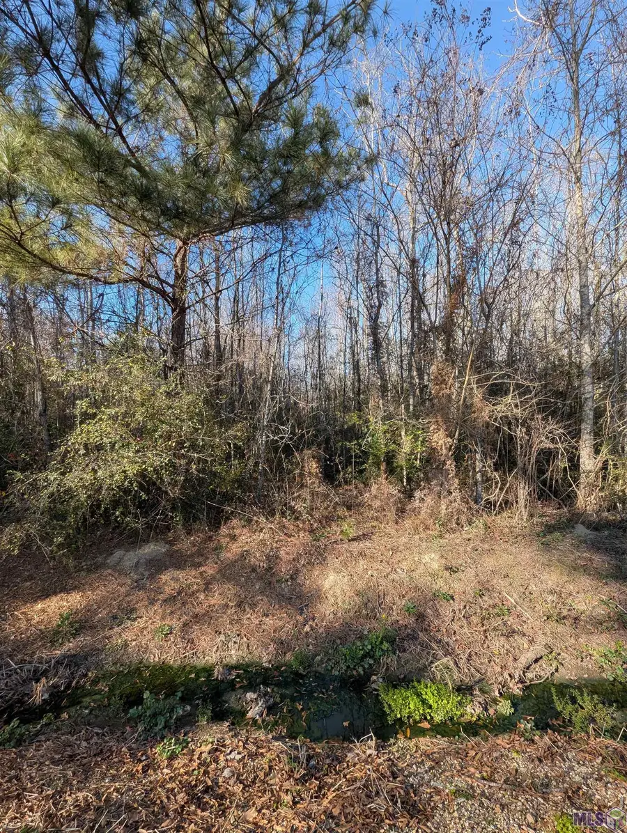 TBD David Dr, Prairieville, LA 70769 - #3