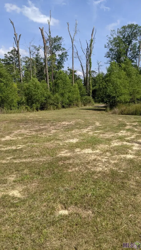 31187 Pace Ln, Walker, LA 70785