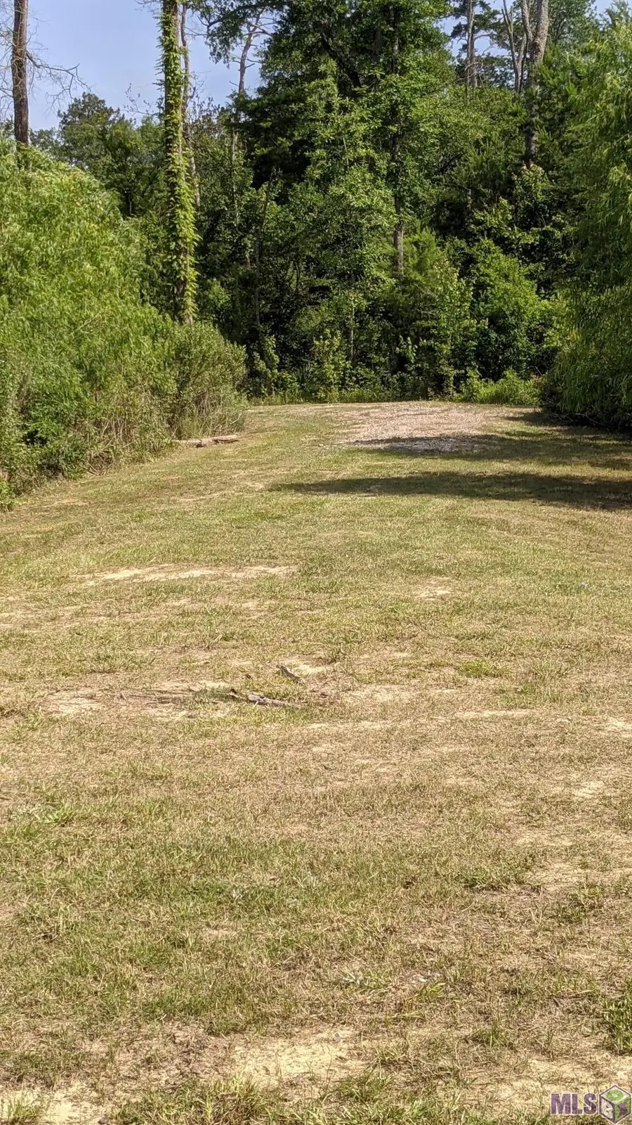 31187 Pace Ln, Walker, LA 70785 - #2